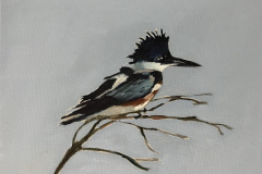 Kingfisher-12x12-acrlic-on-camvas