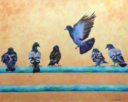 Six Pigeons at Manhattan Beach Pier