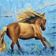Wild Horse