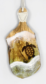 Sea Turtle
