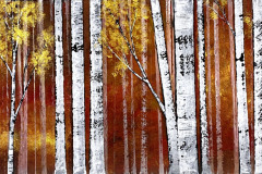 Fall Birch