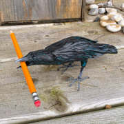 Nevermore