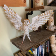 SPARC Owl