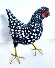 Wyandotte Chicken
