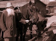 Old Timer
