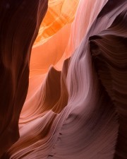 Path to the Light
