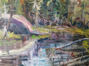 Creek off Lower St. Regis