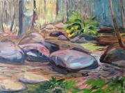 Rocks in the Stream