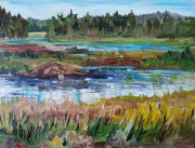 Swamp and Beaver House