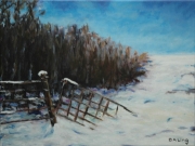 The Fence