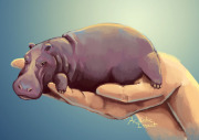 House Hippo