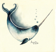 Narwhal