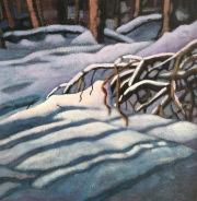 Snowshoeing