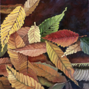 Autumn Colours 4
