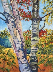 Birches