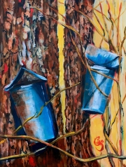 Maple Sap Time