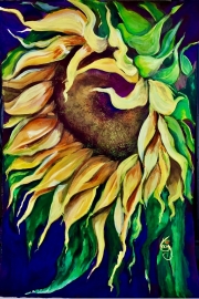 Sunflower and Hummer