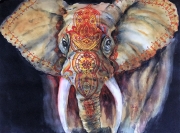 Best Elephant