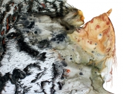 Birchbark Woman