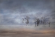 Hazy Day in Constance Bay