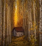 Hidden Treasure