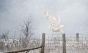 Taking Off