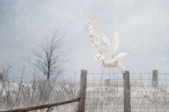 Taking Off