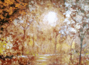 Autumn  Reflects