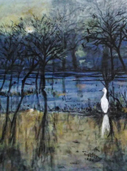 Wading in the Night
