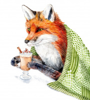 Fox Drinking Latte