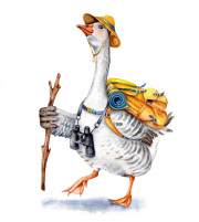 Hiking Goose