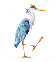 Royal Heron