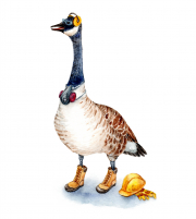 Safety Goose
