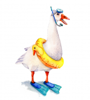 Snorkeling Goose