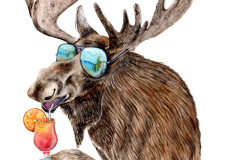 Vacation Moose