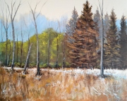 Between Seasons