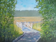 Limerick Marsh