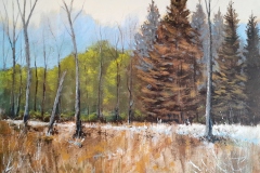 Between Seasons