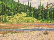 'River Beauty' on the Road to Jasper