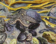 Forbes Seastar