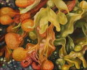 Seaweed Explosion
