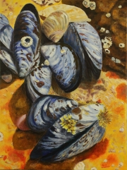 Blue Mussels