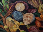 Periwinkles