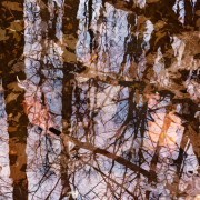 Earth and Sky #8