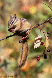 I love Berries