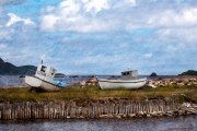 Ferryland Boats