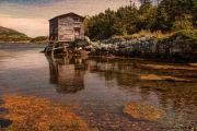 Salvage Cove Fishing Hut