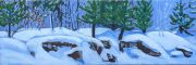 Winter Roadside