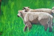 Meadow Sheep