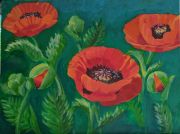 Poppies